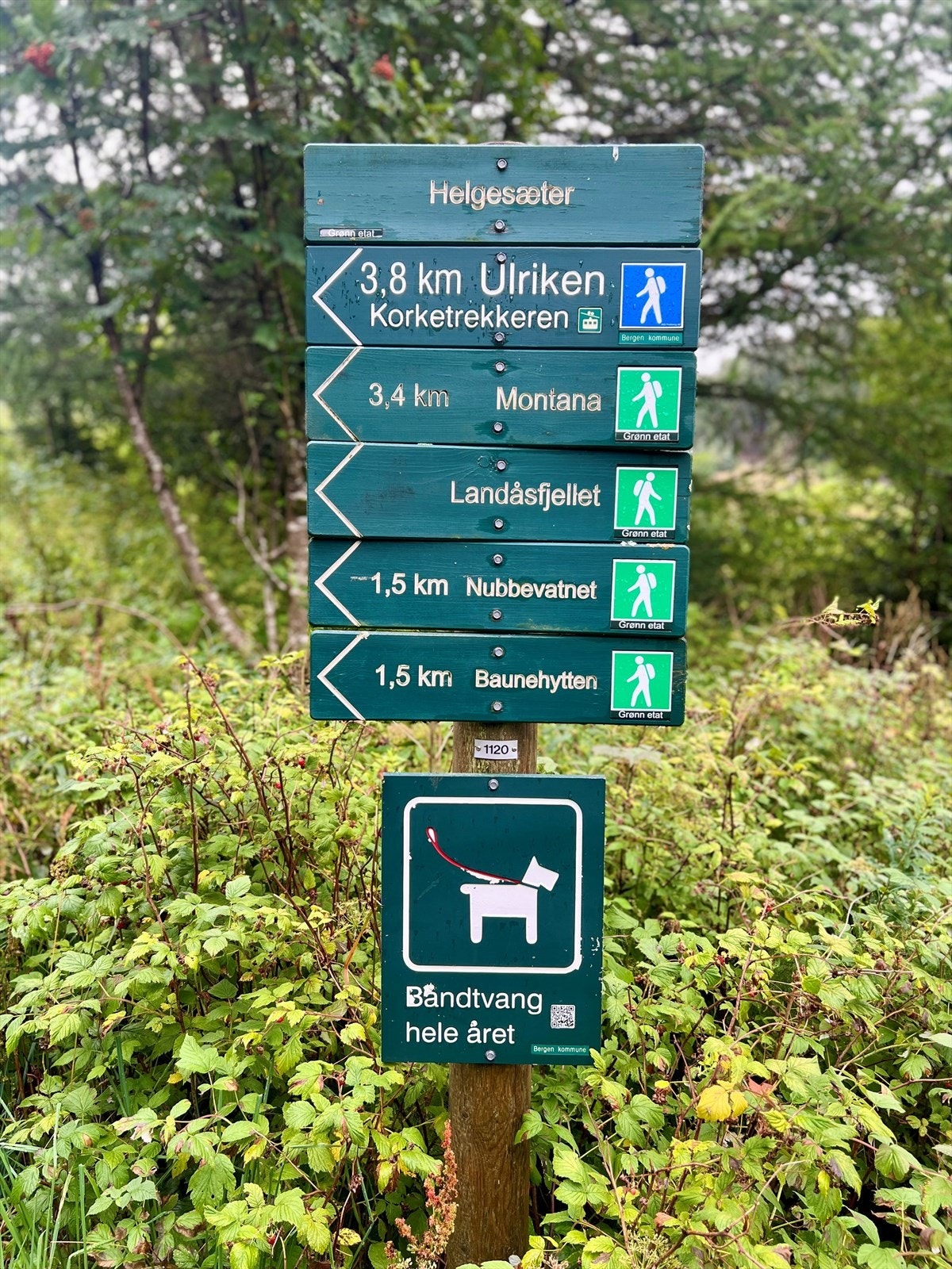 Kanskje byens fineste naturterreng, med velkjente Nubben , kun noen bratte bakker unna. Man kan ende turen ved Nubbevannet og Baunehytten og- eller gå videre opp Korketrekkeren og hele veien til Ulriken. Her har man mange turmuligheter for enhver smak. Galleribilde