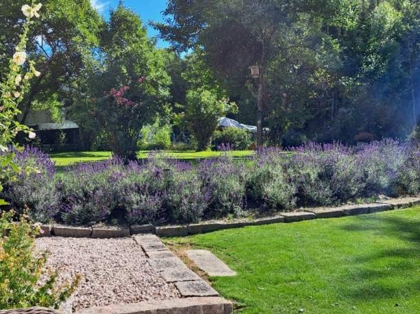 Nydelig opparbeidet bed med lavendel (Selgers eget bilde) Galleribilde