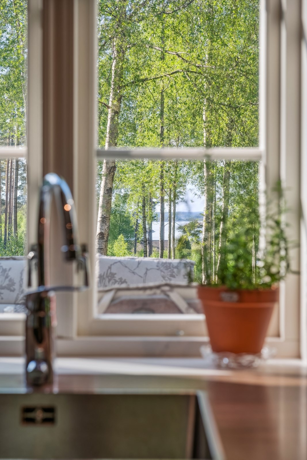 Utsyn fra kjøkkenvindu Galleribilde