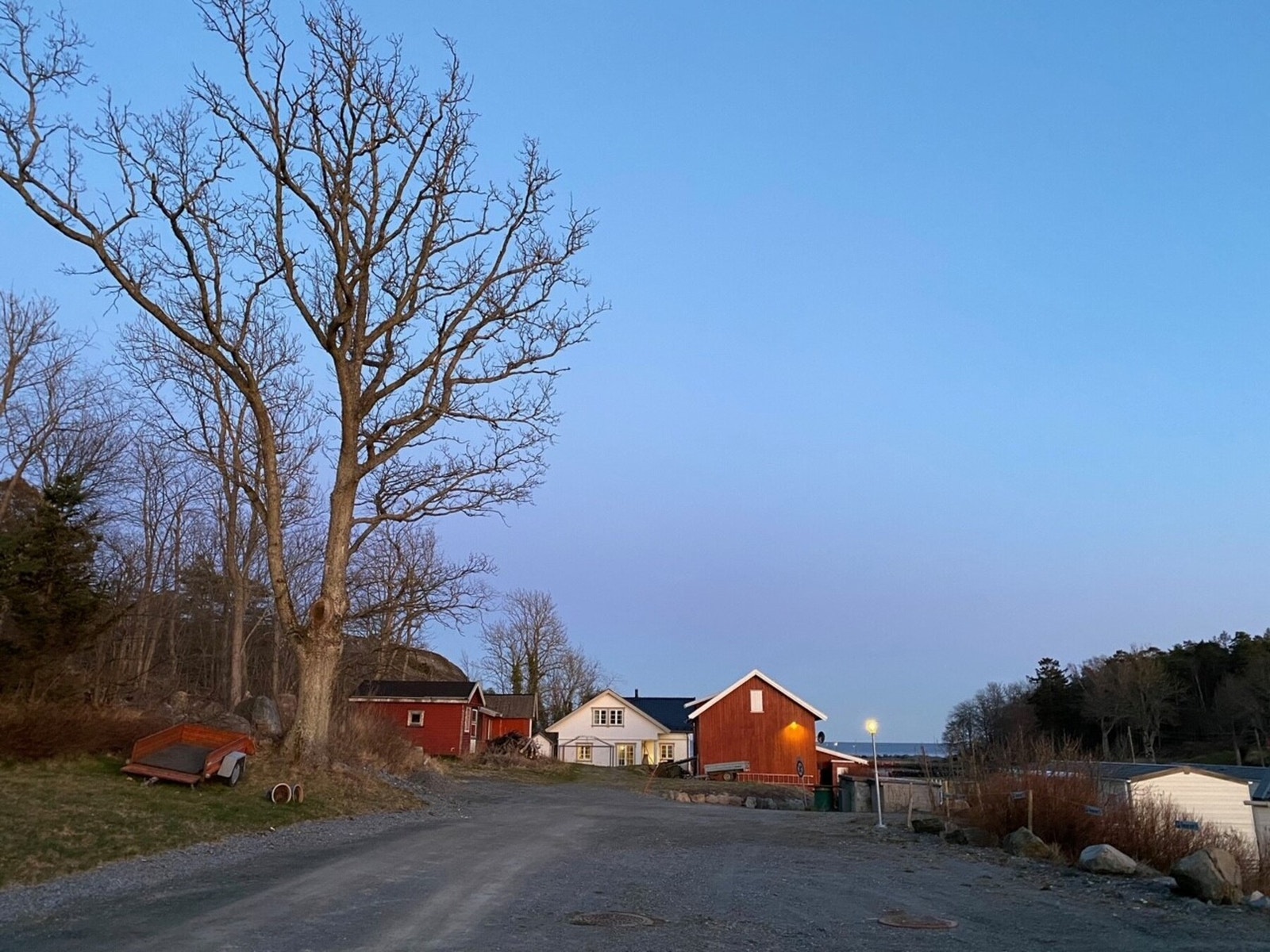 Sjørosen, Ødegårdsbukta Galleribilde