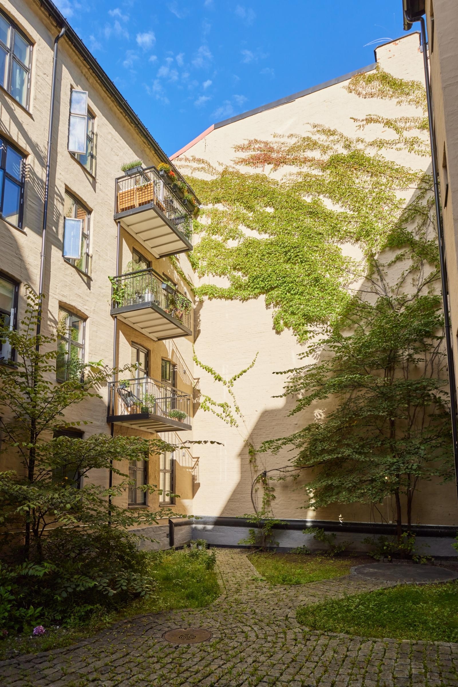 Dette er en mulighet du ikke må gå glipp av. Galleribilde