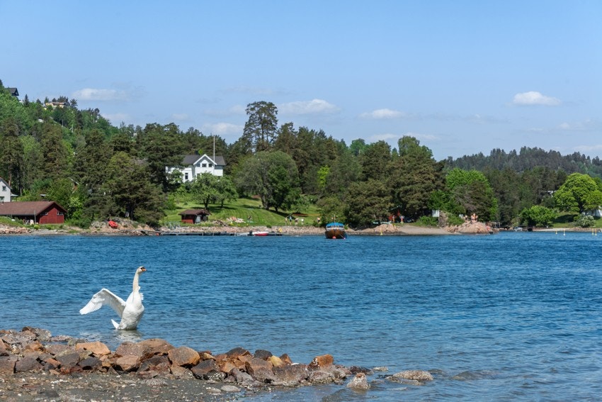 Frydenlund barneskole ligger kun 650 meter unna boligen, dermed får barna trygg og fin skolevei Galleribilde