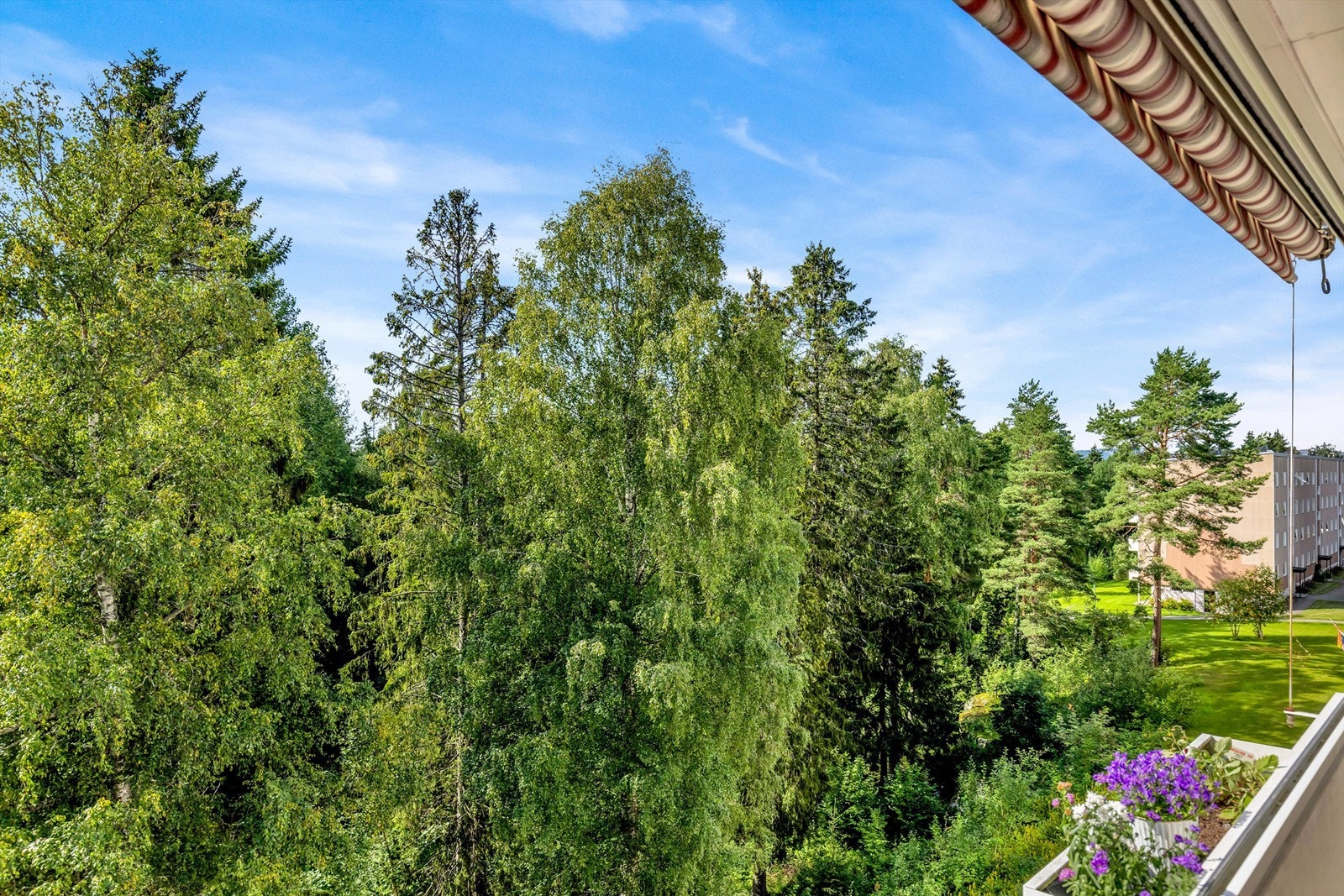 Nydelig utsikt fra balkongen mot lun, rolig skogholt. Galleribilde