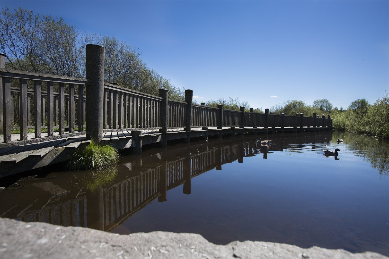 I området er det fine turmuligheter både sommer og vinter. Galleribilde