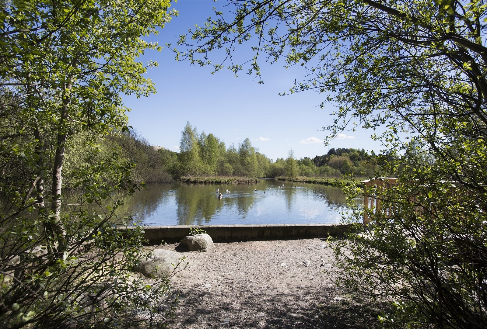 Det idylliske Østensjøvannet er i nærheten. Galleribilde