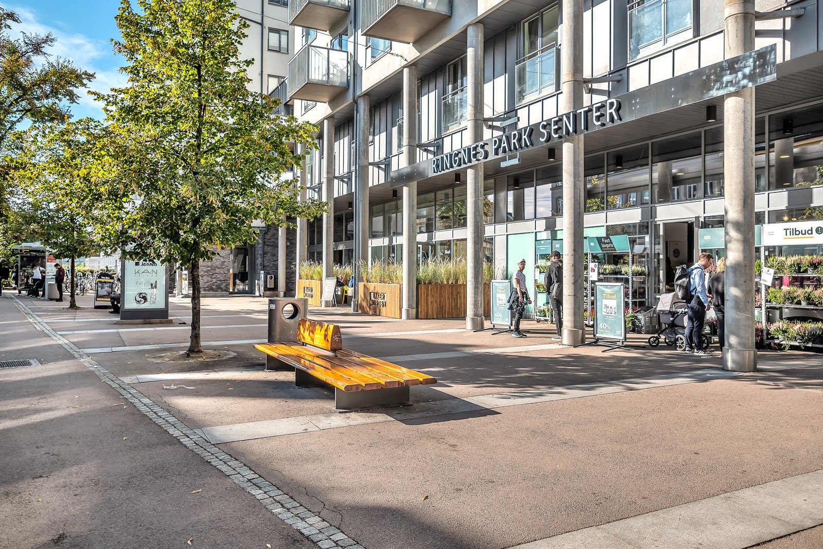 Ringnes park. Galleribilde