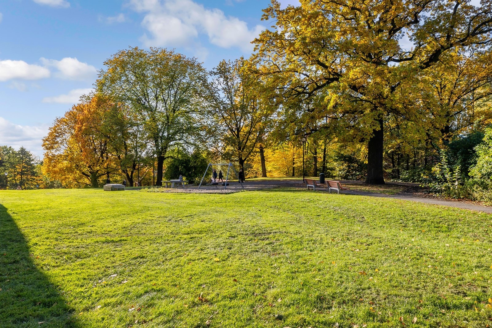 - Nærområdet - Galleribilde