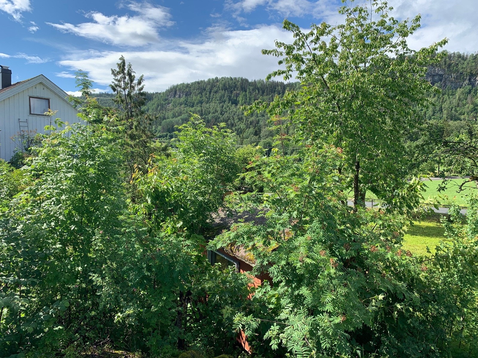 Tomten slik den er mot veien/adkomst Galleribilde