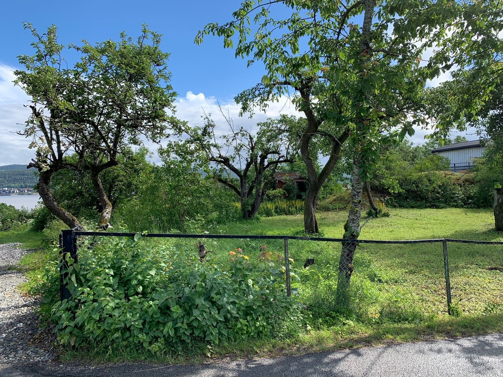 Tomten sett fra veien/innkjøring Galleribilde