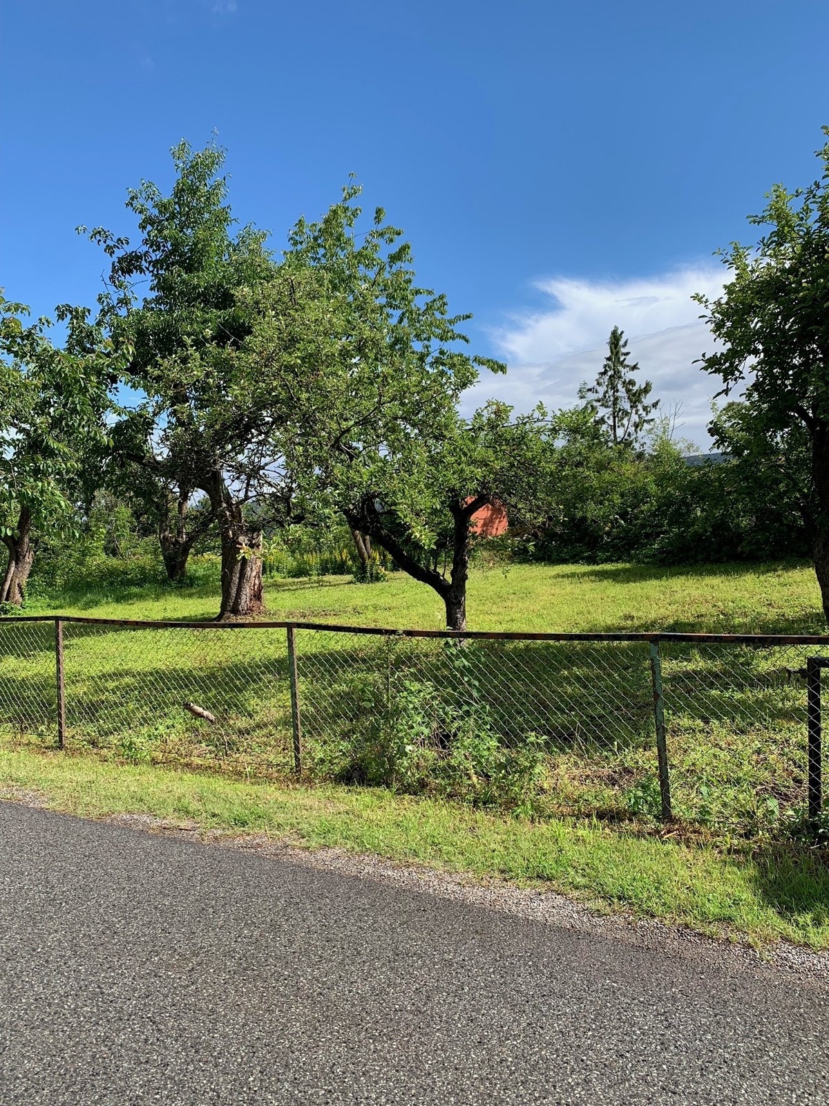 Adkomst Galleribilde