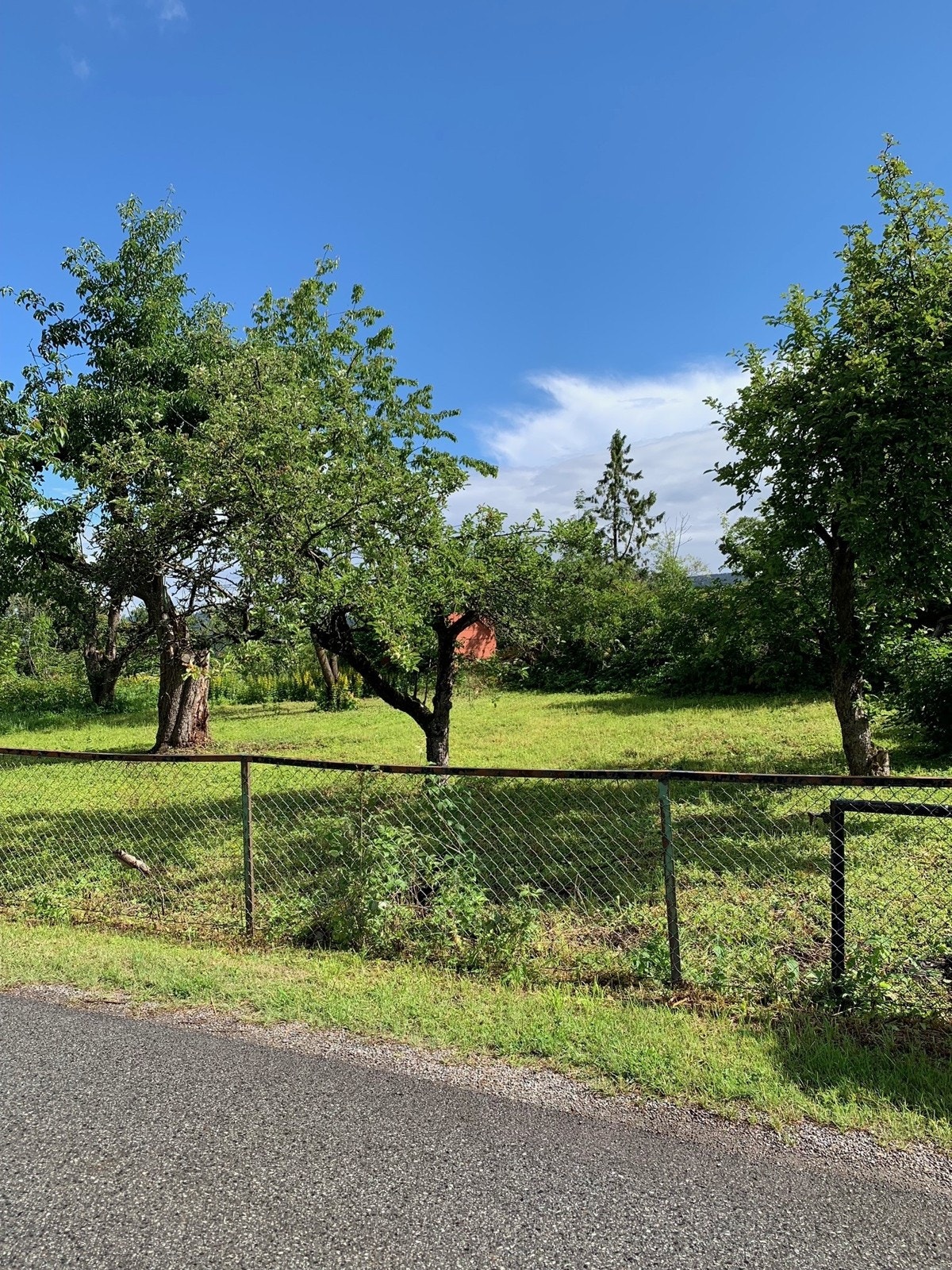 Nærområdet Galleribilde