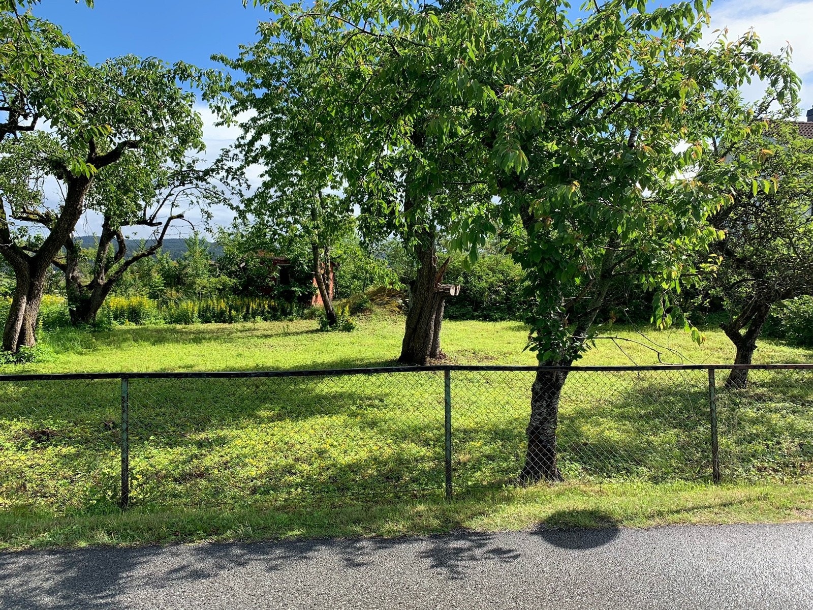 Tomten sett fra veien Galleribilde