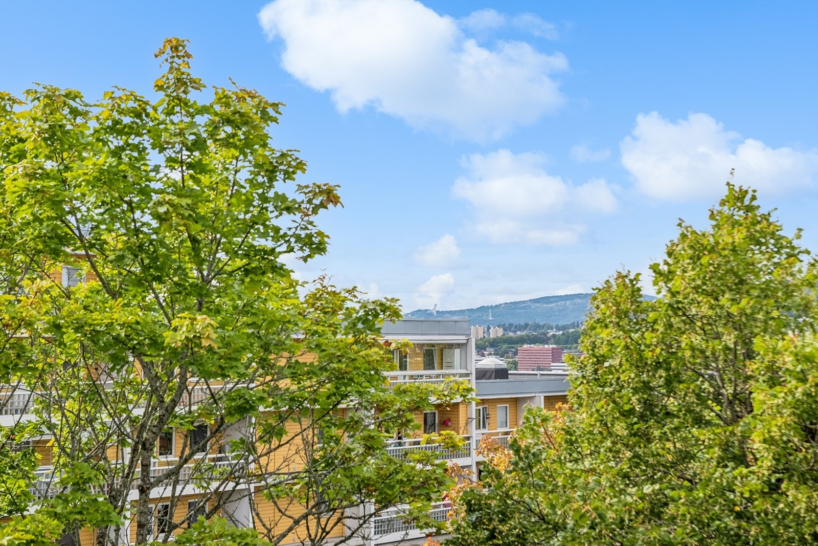 Her kan du nyte flotte solnedganger, og du kan også skimte Holmenkollen i det fjerne. Galleribilde