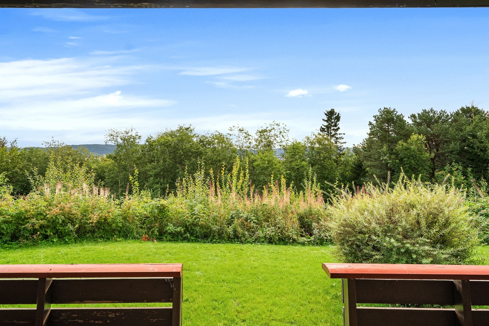 Terrassen er vendt mot friområde. Galleribilde