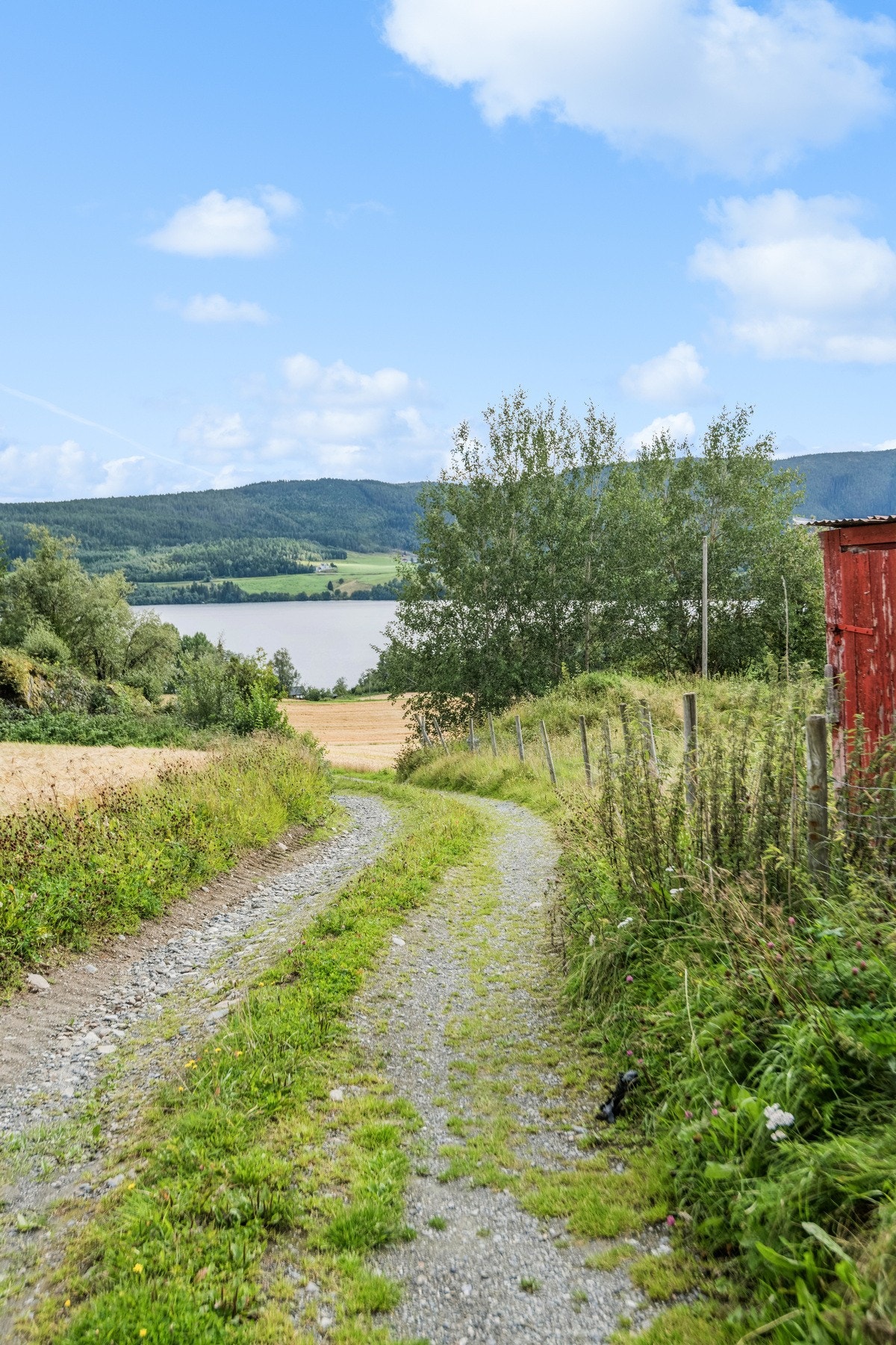 Fra boligen har man direkte nærhet til flotte turområder. Galleribilde
