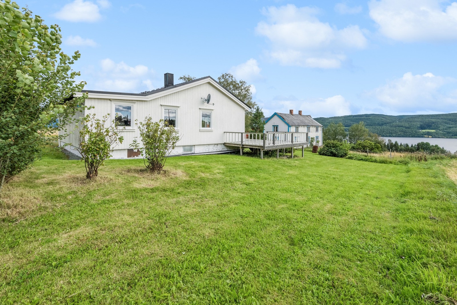 På eiendommen er det både frukttrær og bærbusker. Galleribilde