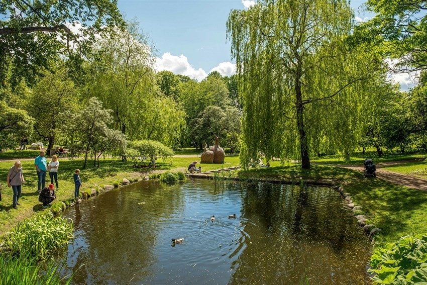 Nærområde - Botanisk Hage. Mange turområder og parker i umiddelbar nærhet. Galleribilde