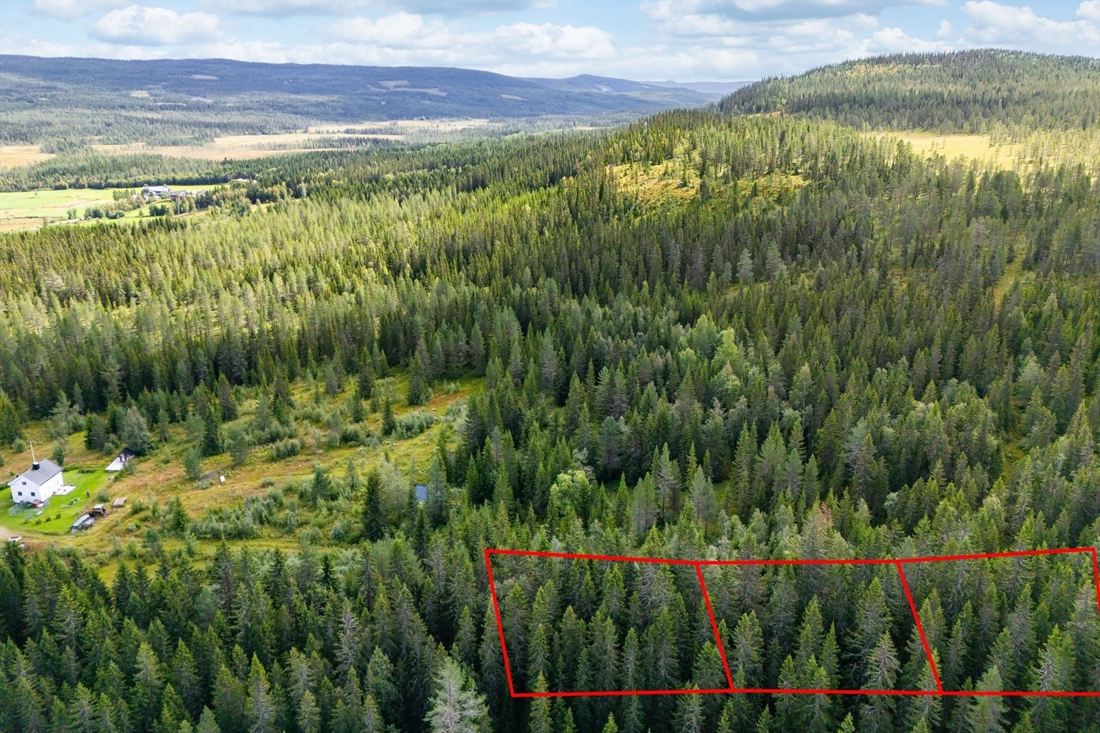 Trysilfjellet er det fine turområder på sommerhalvåret, samt en svært populær sykkelpark som er tilrettelagt for både nybegynnere og erfarne syklister. På vinterstid kan Trysilfjellet tilby Norges største alpinanlegg for små og store. Galleribilde