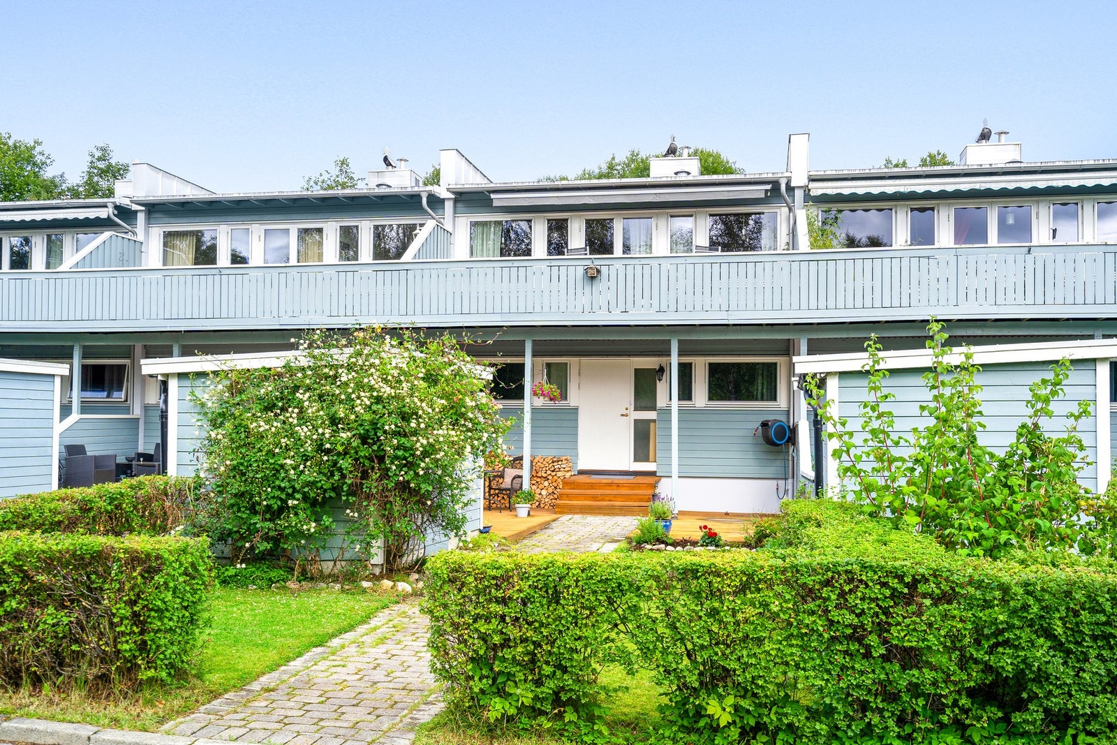 Velkommen til Burslia 3B! Galleribilde