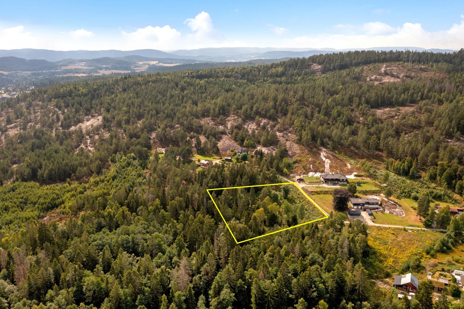 Frodig tomt med furutrær, grantrær og en del løvtrær. Blankskurte svarberg, busker og gress. Galleribilde