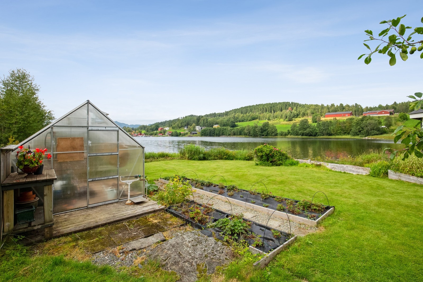 Drivhus og utendørs bed for dyrking Galleribilde