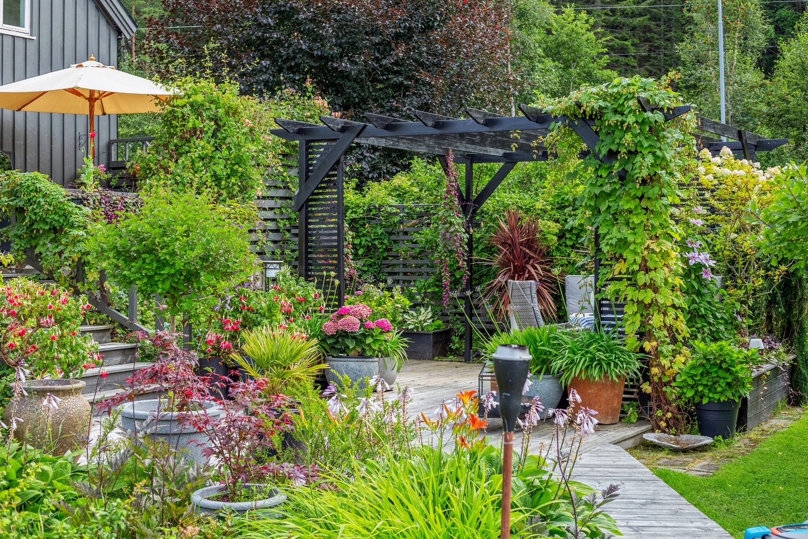 Pergola skjermet med beplantning og levegger Galleribilde