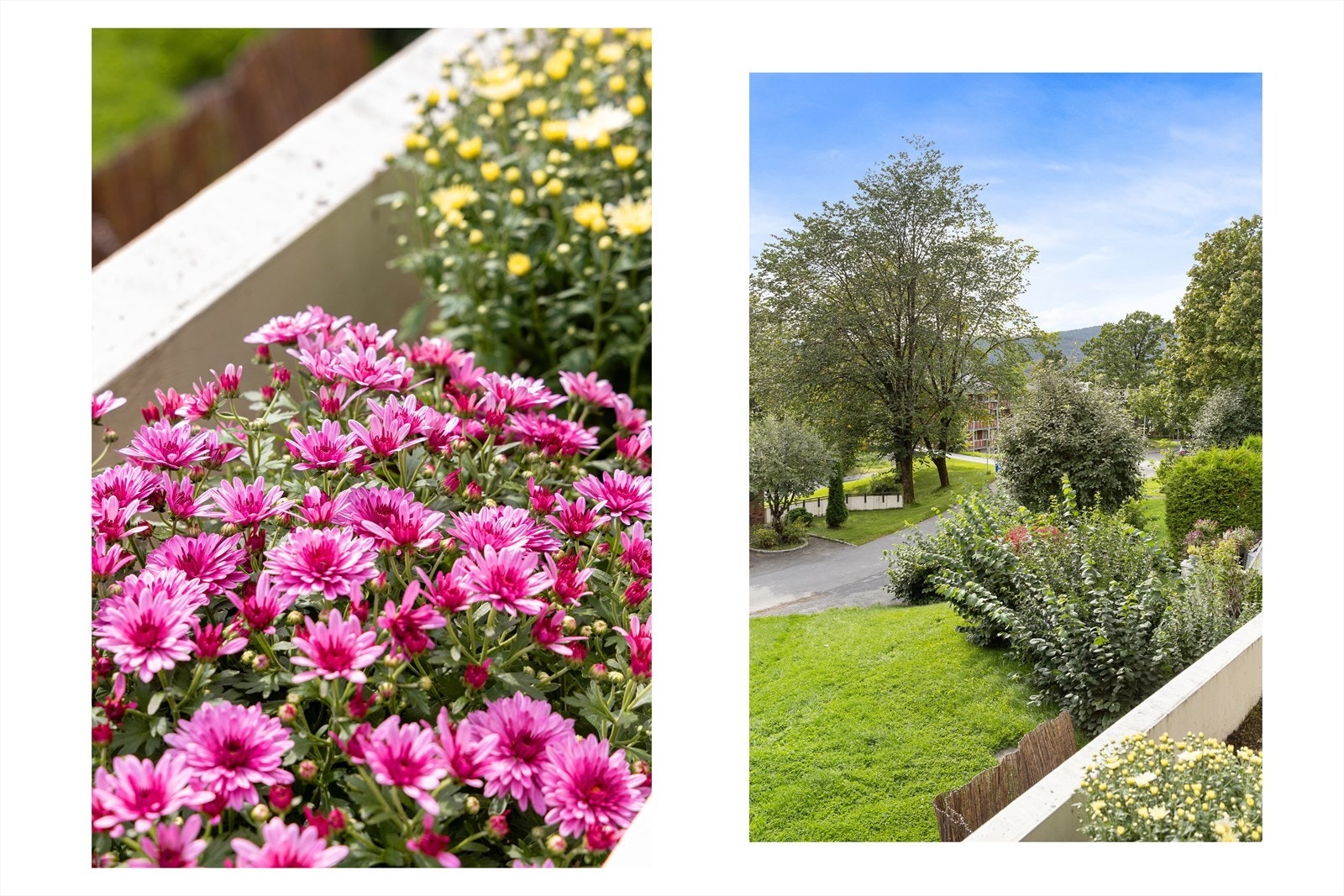 Detaljbilde. Galleribilde