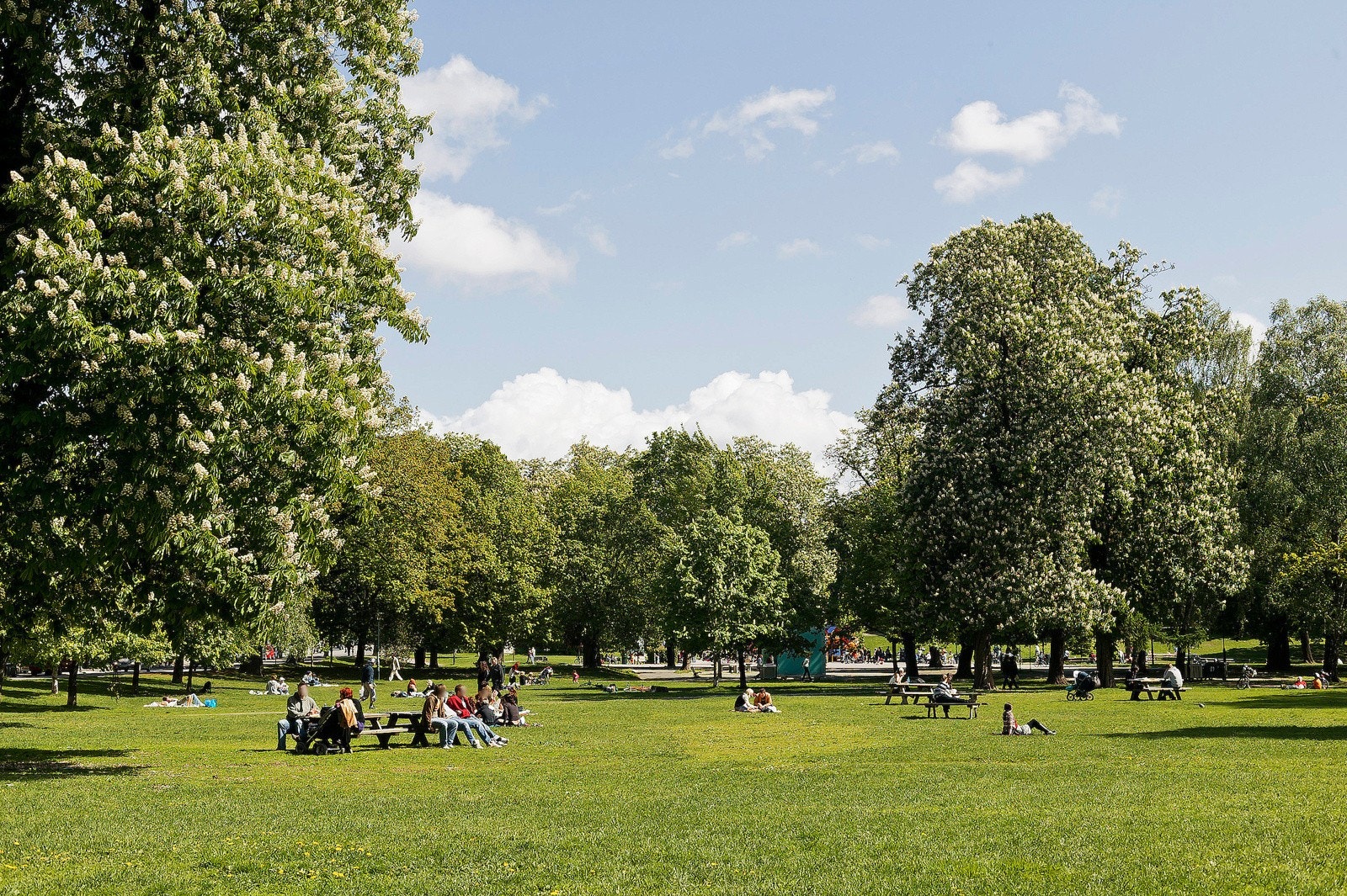 - Kort vei opp til Sofienbergparken - Galleribilde