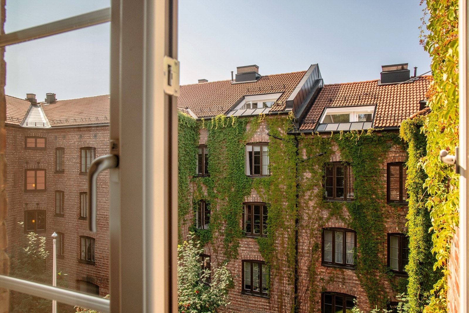 Gråbeinkvartalet. Galleribilde