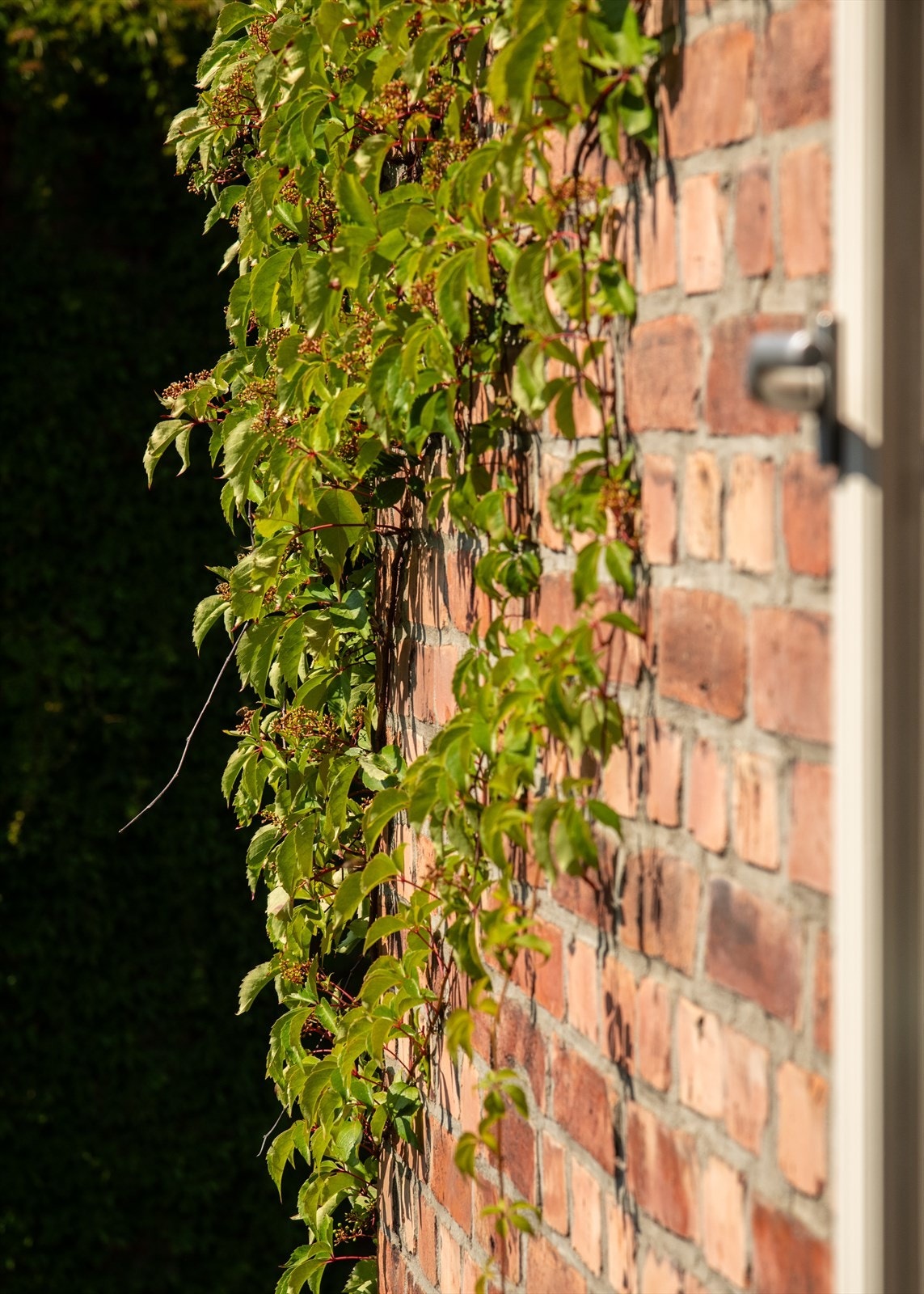 Felleskostnadene kr 5400,- inkl. Vaktmester, Trappevask, Varmtvann og TV/ Fiber m.m. Galleribilde