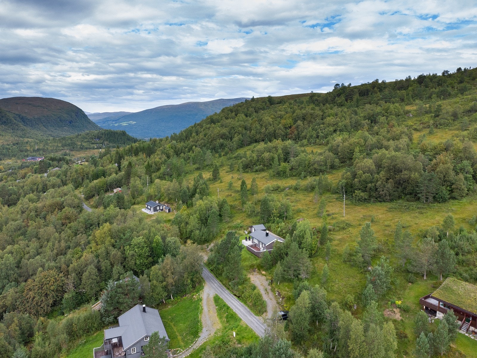 Områdefoto Galleribilde