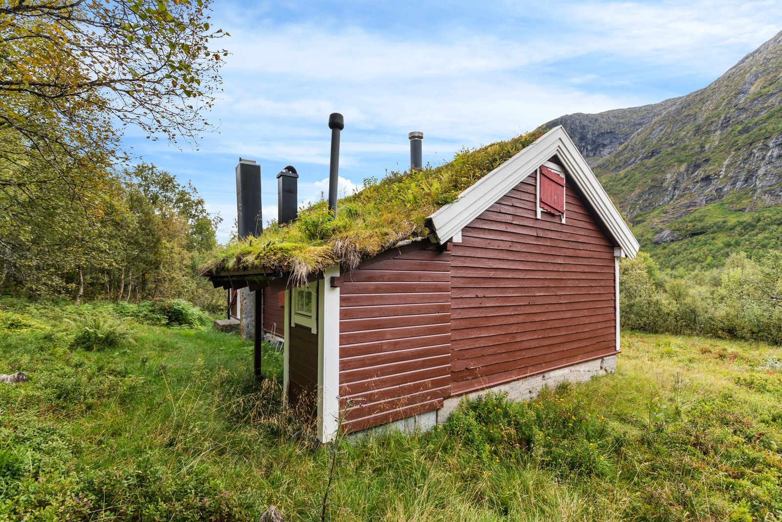 Naturskjønne omgivelser, med turmuligheter til eksempelvis Holebotn, Langevatne og Roaldshorn i umiddelbar nærhet Galleribilde