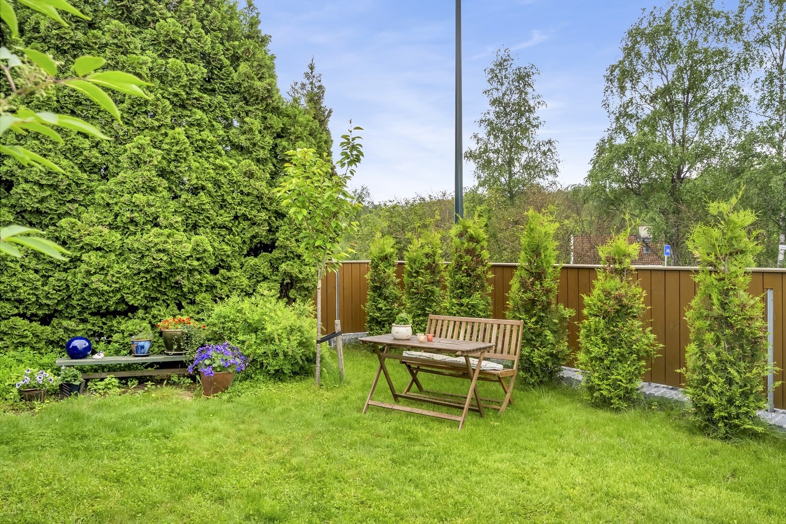 Stor og fin hage med planter, blomster og trær. Galleribilde