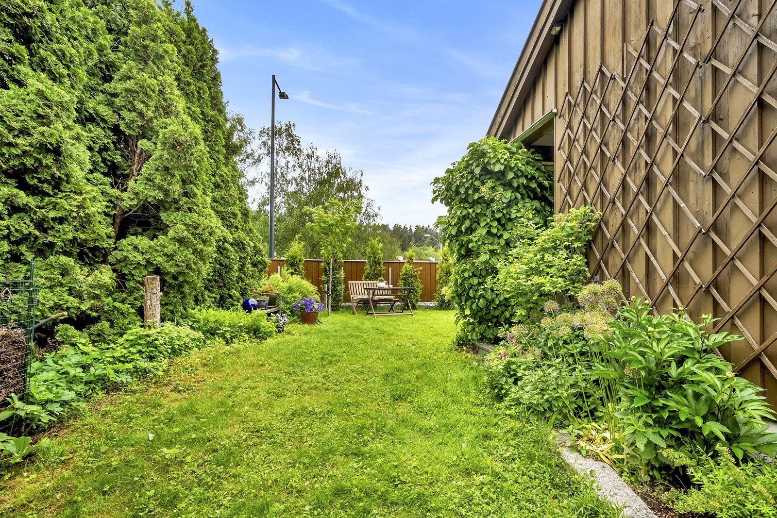 Hage med lite innsyn. Galleribilde