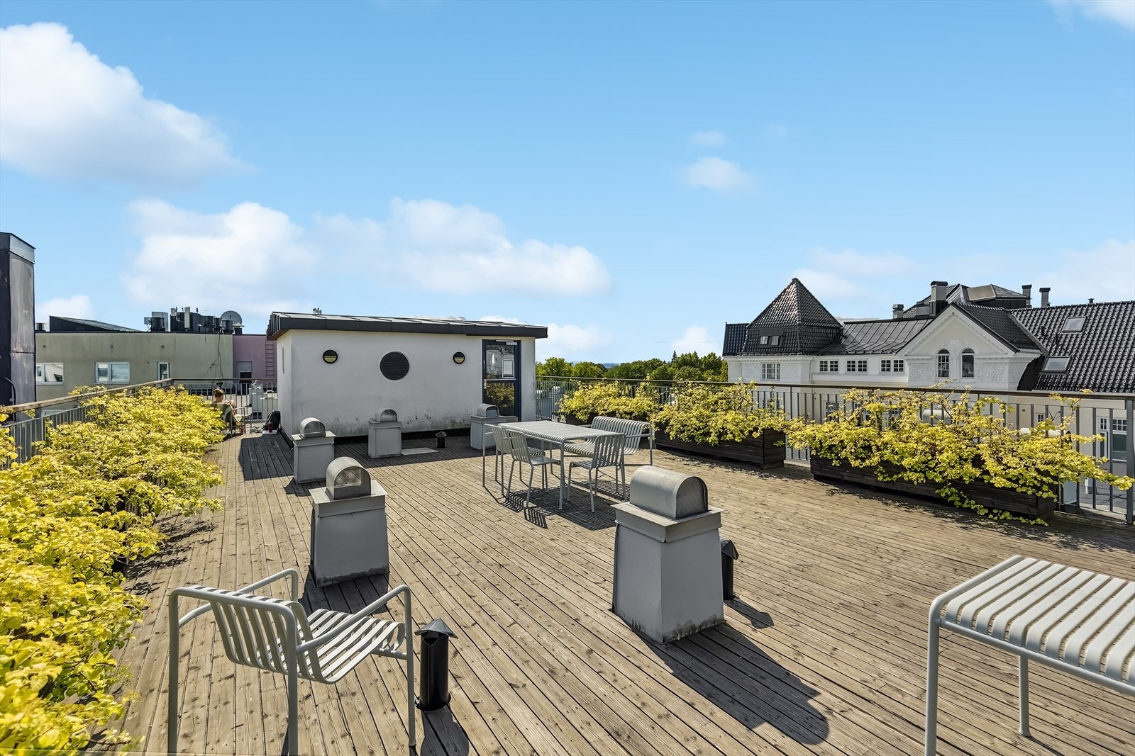 Flott felles takterrasse i bygget med beplantning og flere sittegrupper. Her har du sol fra morgen til kveld. Galleribilde