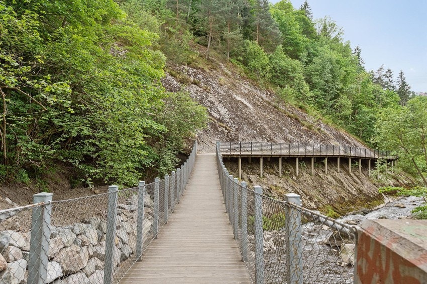 Nyt den daglige turen i nærområdet. Galleribilde