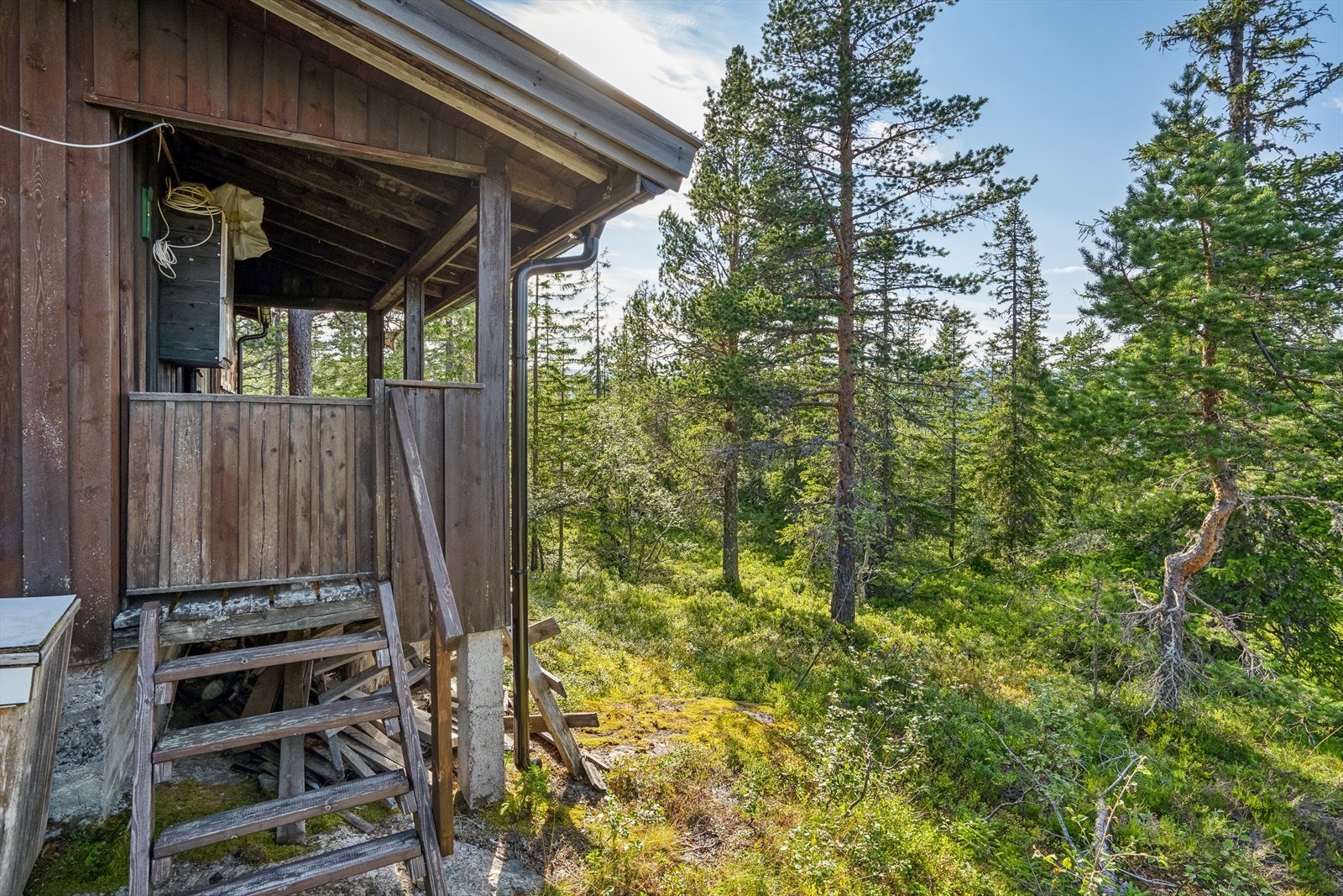 Trapp fra verandaen fører deg rett ut i skogen Galleribilde