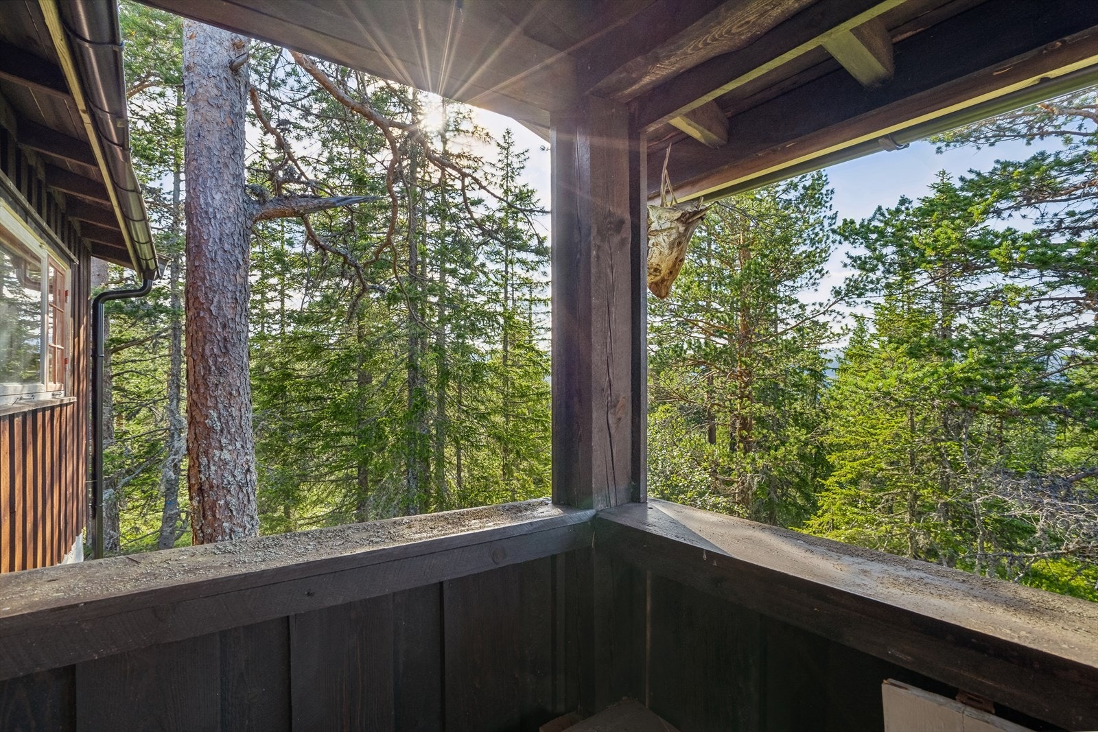 Nyt en kopp kaffe til glimt av solen Galleribilde