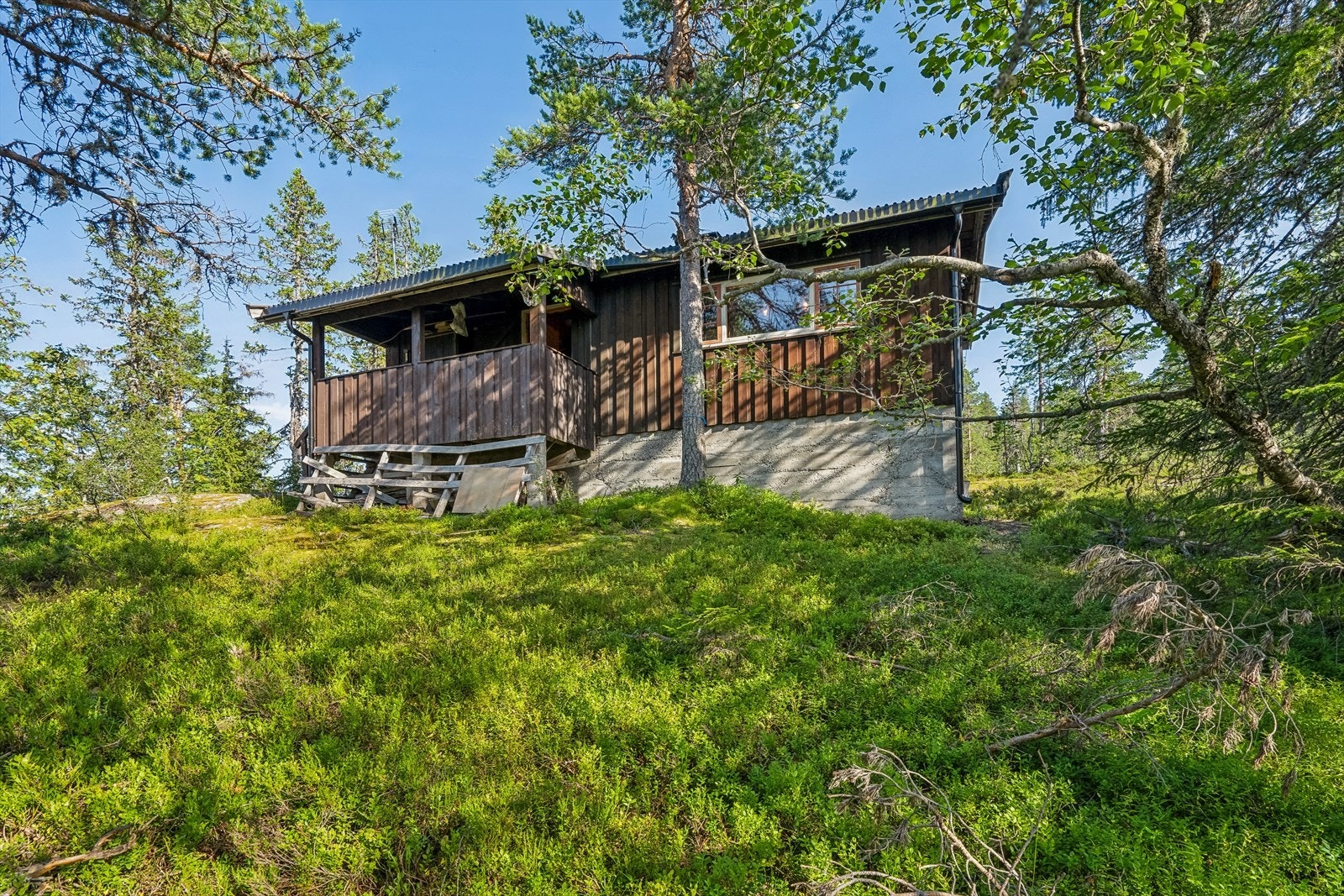 VELKOMMEN TIL BLÅBERGDALEN 163 Galleribilde