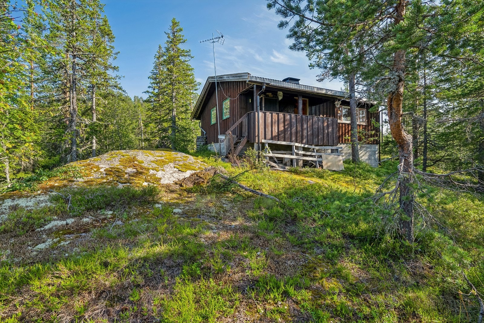 Bytt ut skjerm med alt naturen har å by på Galleribilde