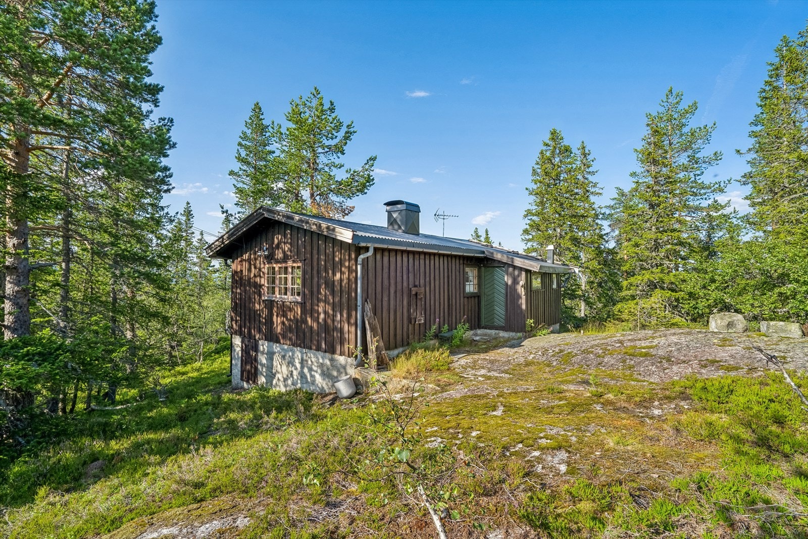 En hytta plassert i skogen for deg som liker nærhet til naturen Galleribilde