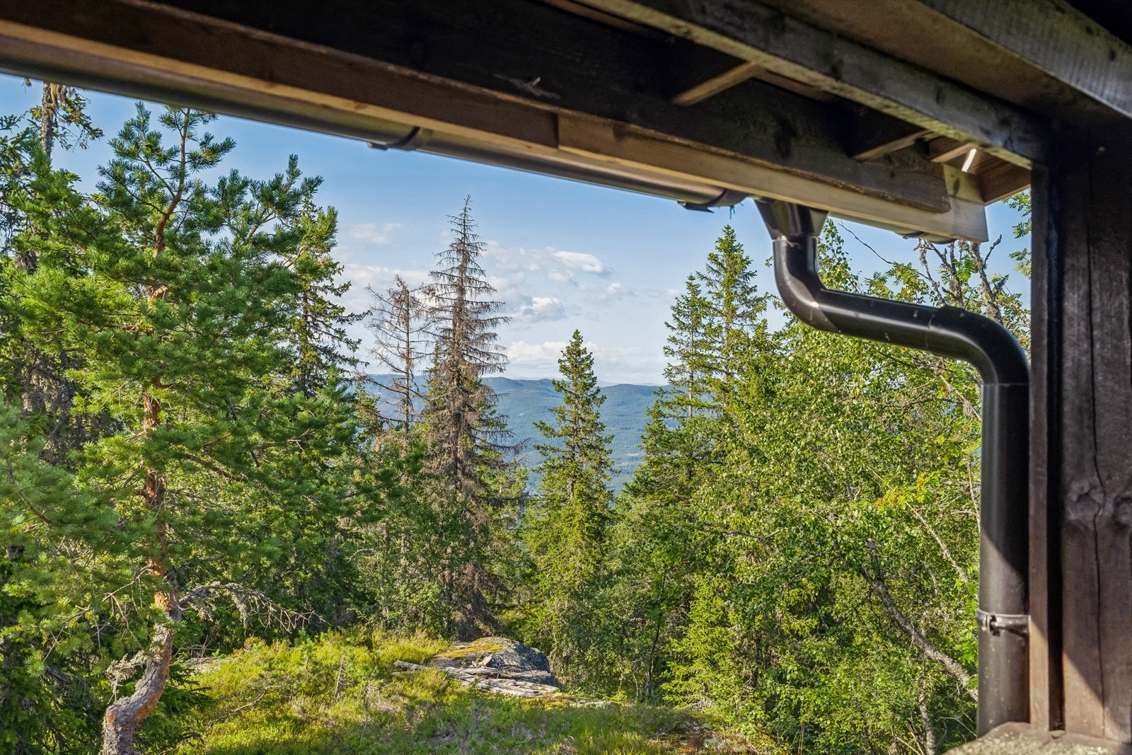 Du ser overraskende langt til tross for at hytta ligger midt i skogen Galleribilde