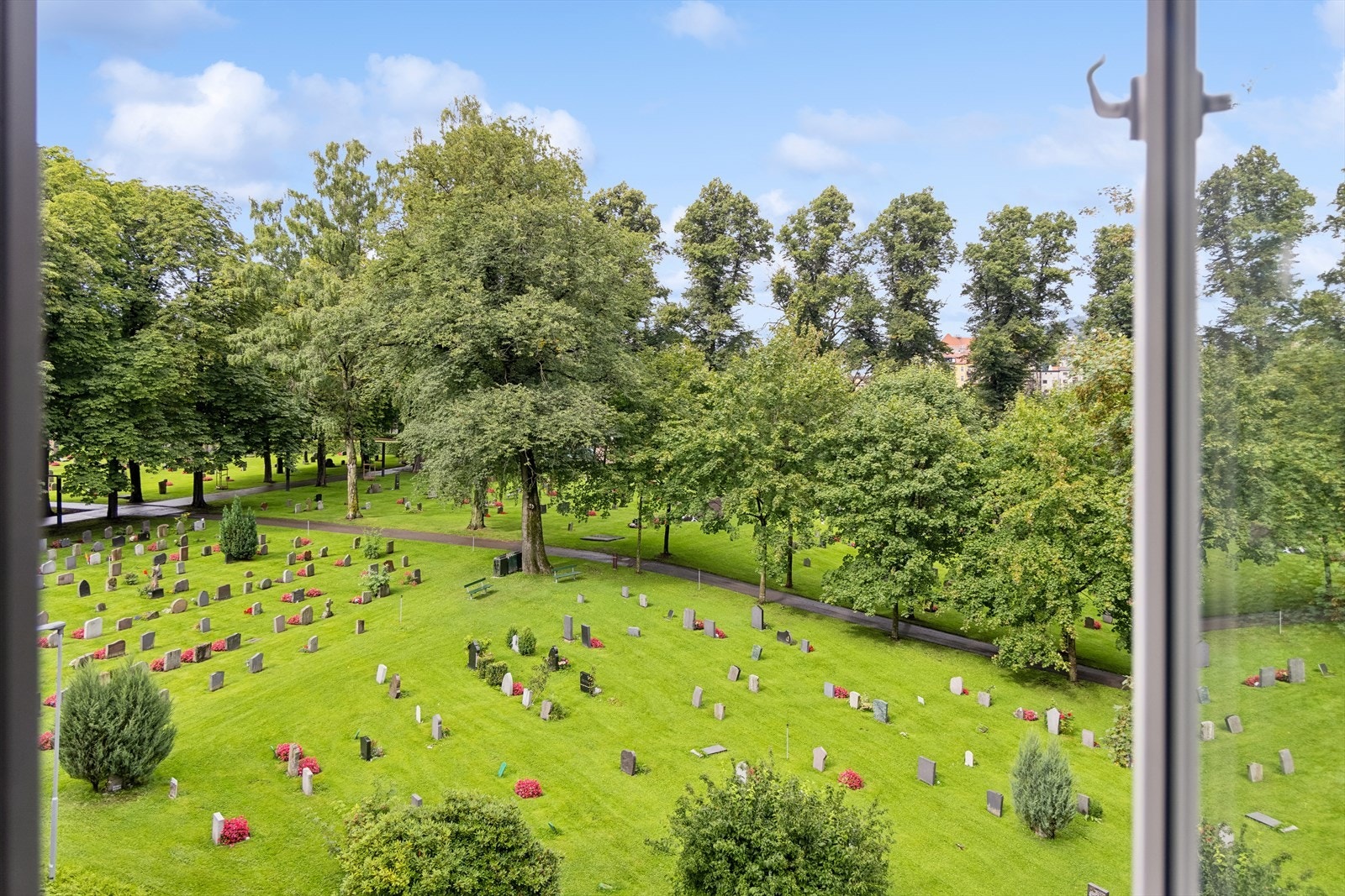 Utsikt. Galleribilde