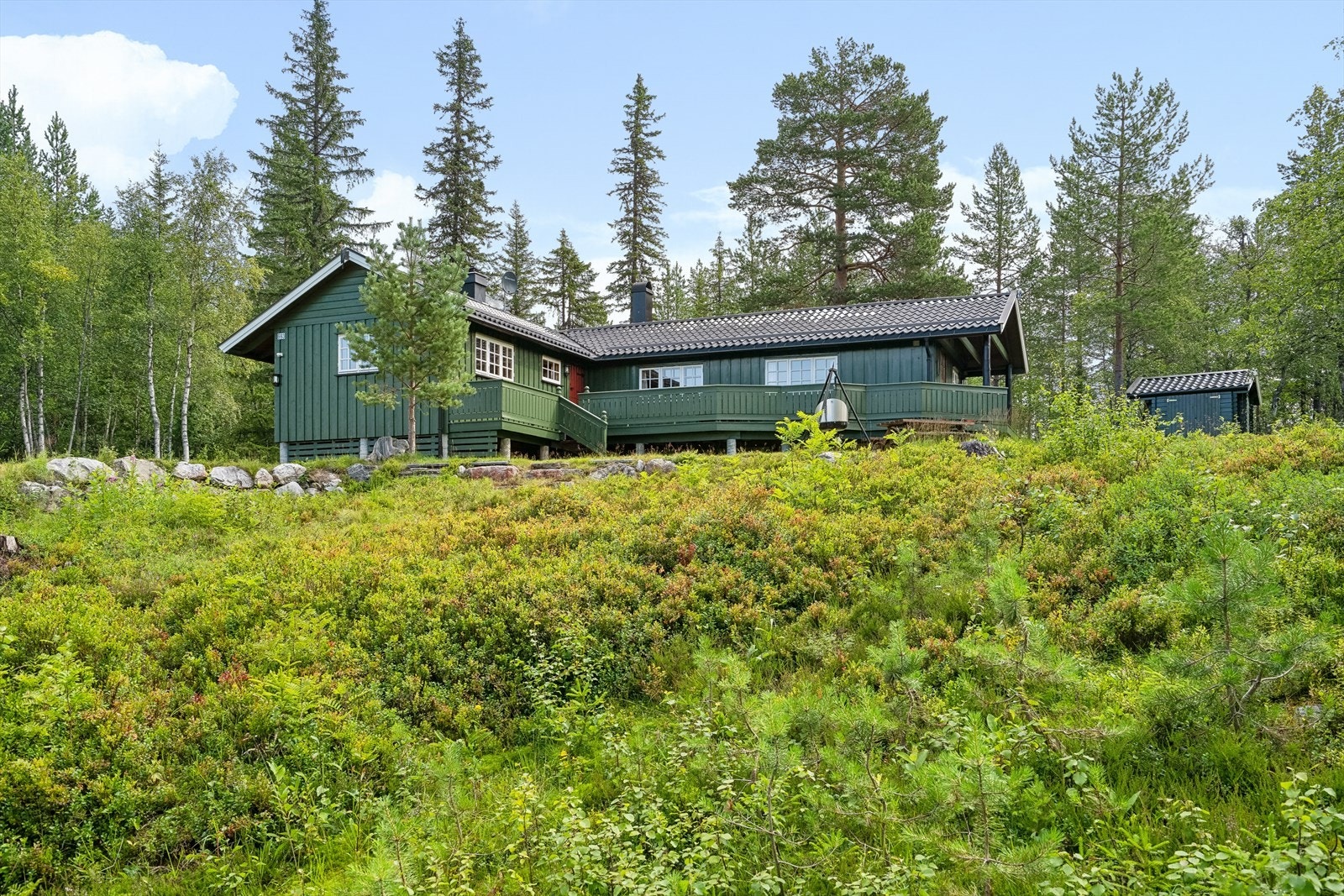 VELKOMMEN TIL JUVENESVEGEN 693 Galleribilde