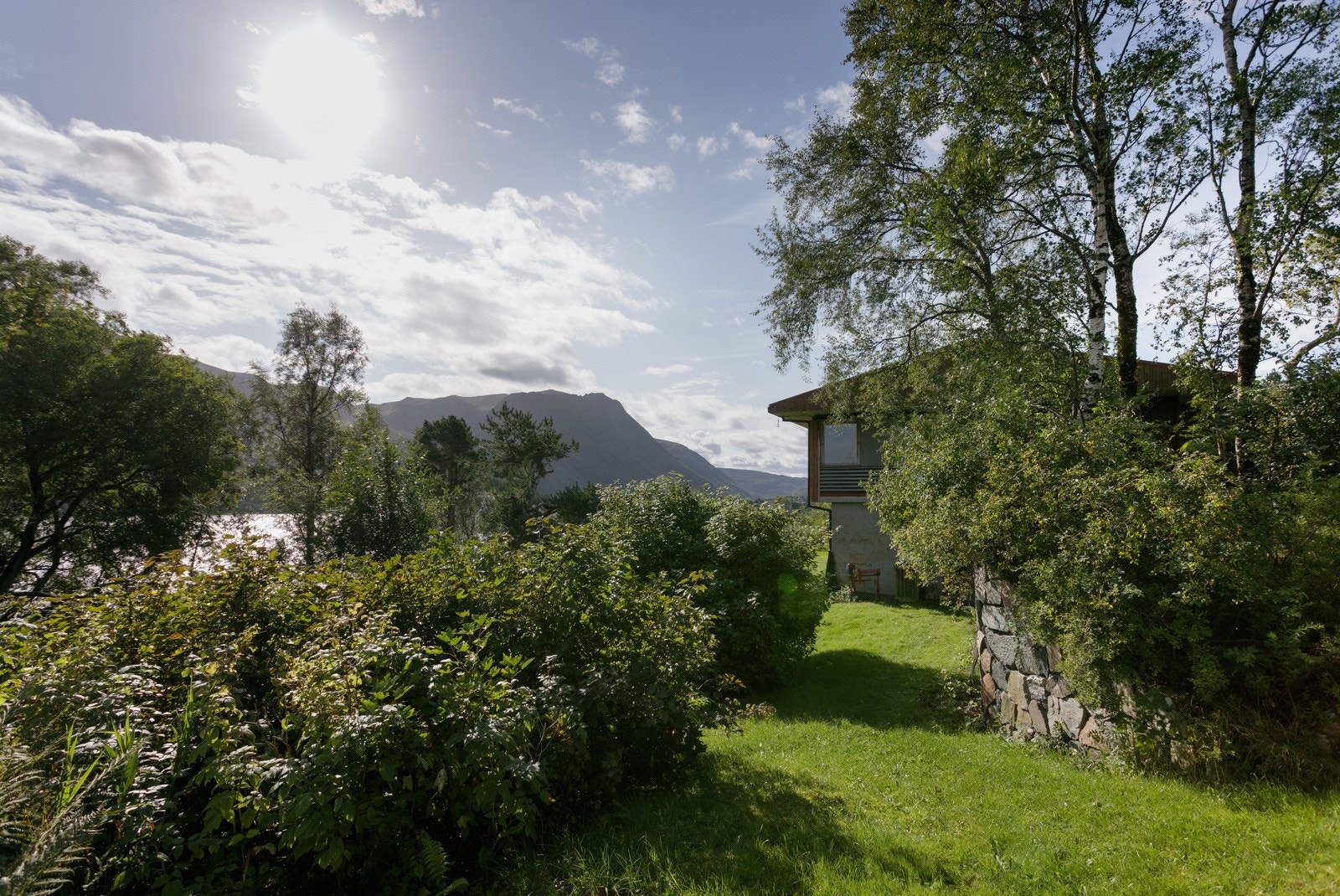 Deler av hagen Galleribilde