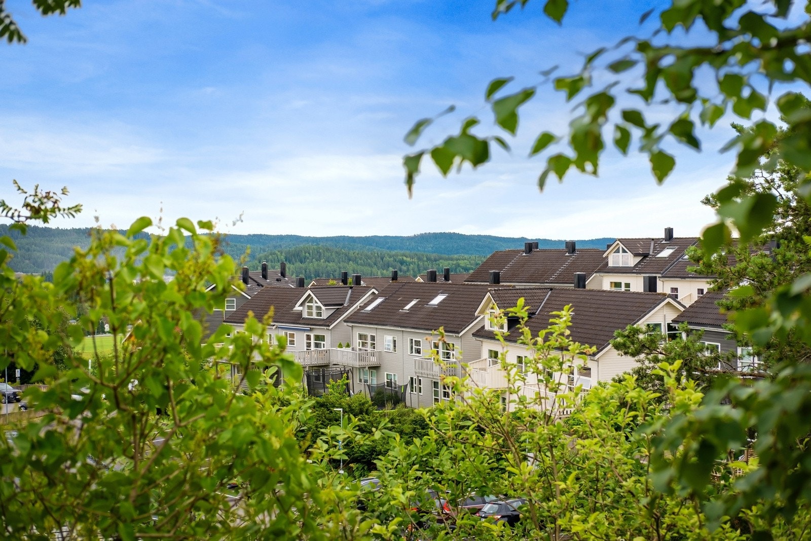 Nydelig utsikt. Galleribilde