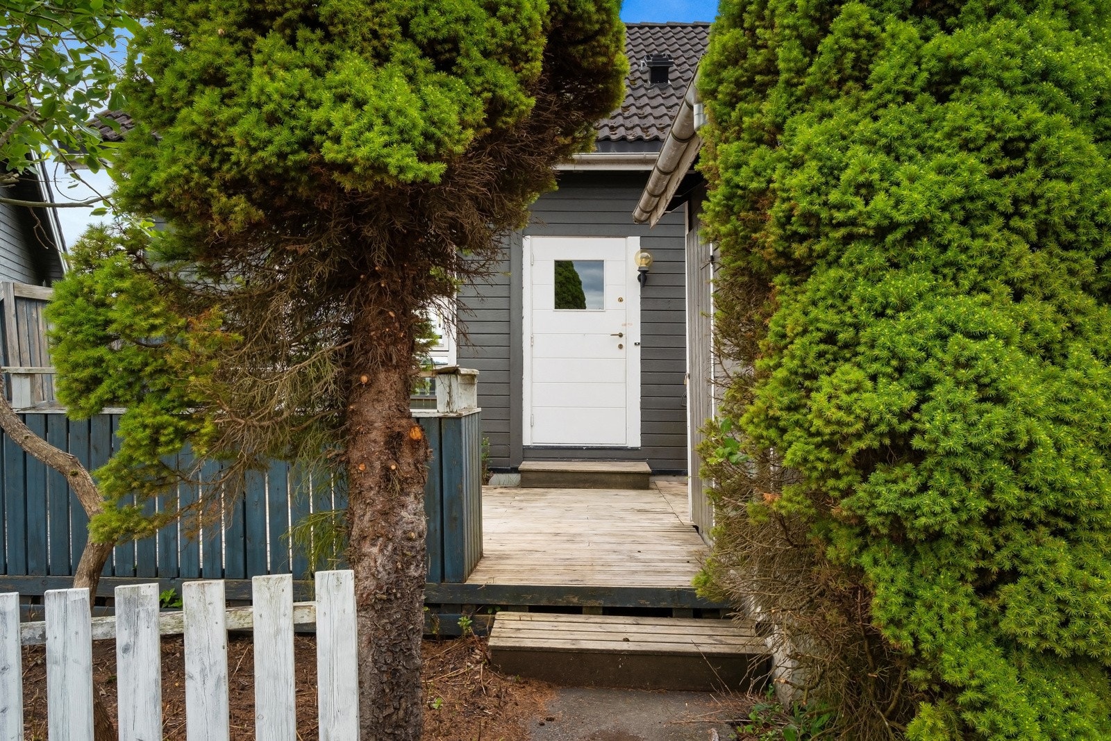 Fasade. Galleribilde