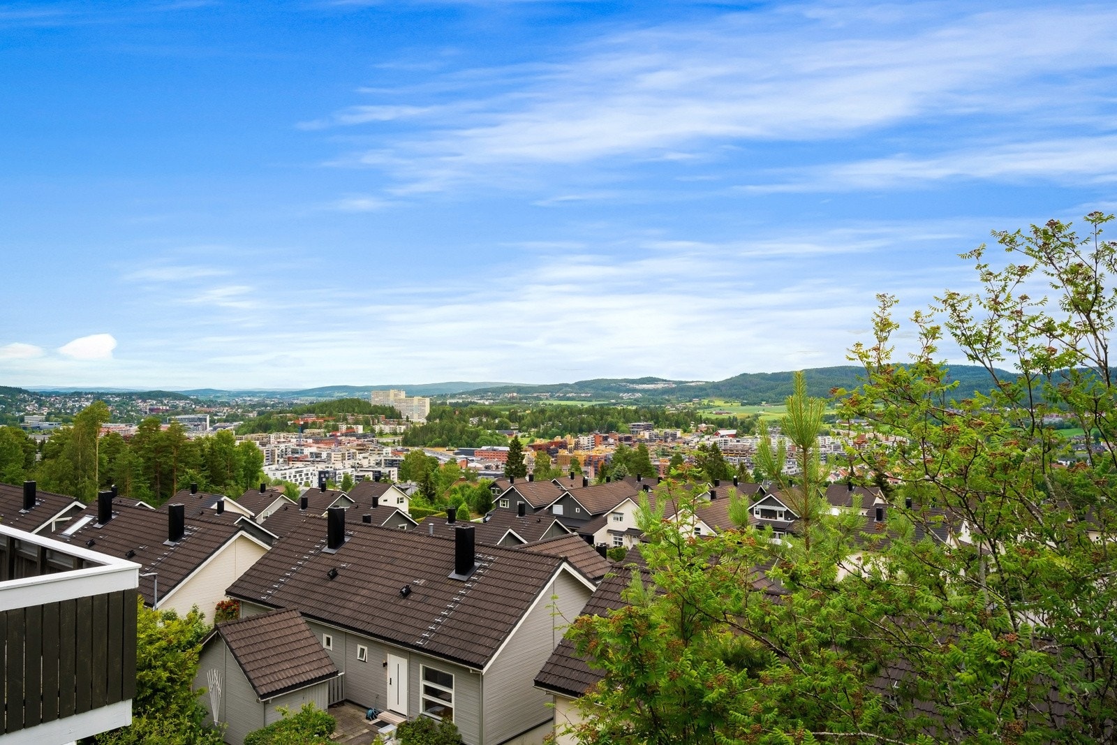 Nydelig utsikt over nærområdet. Galleribilde