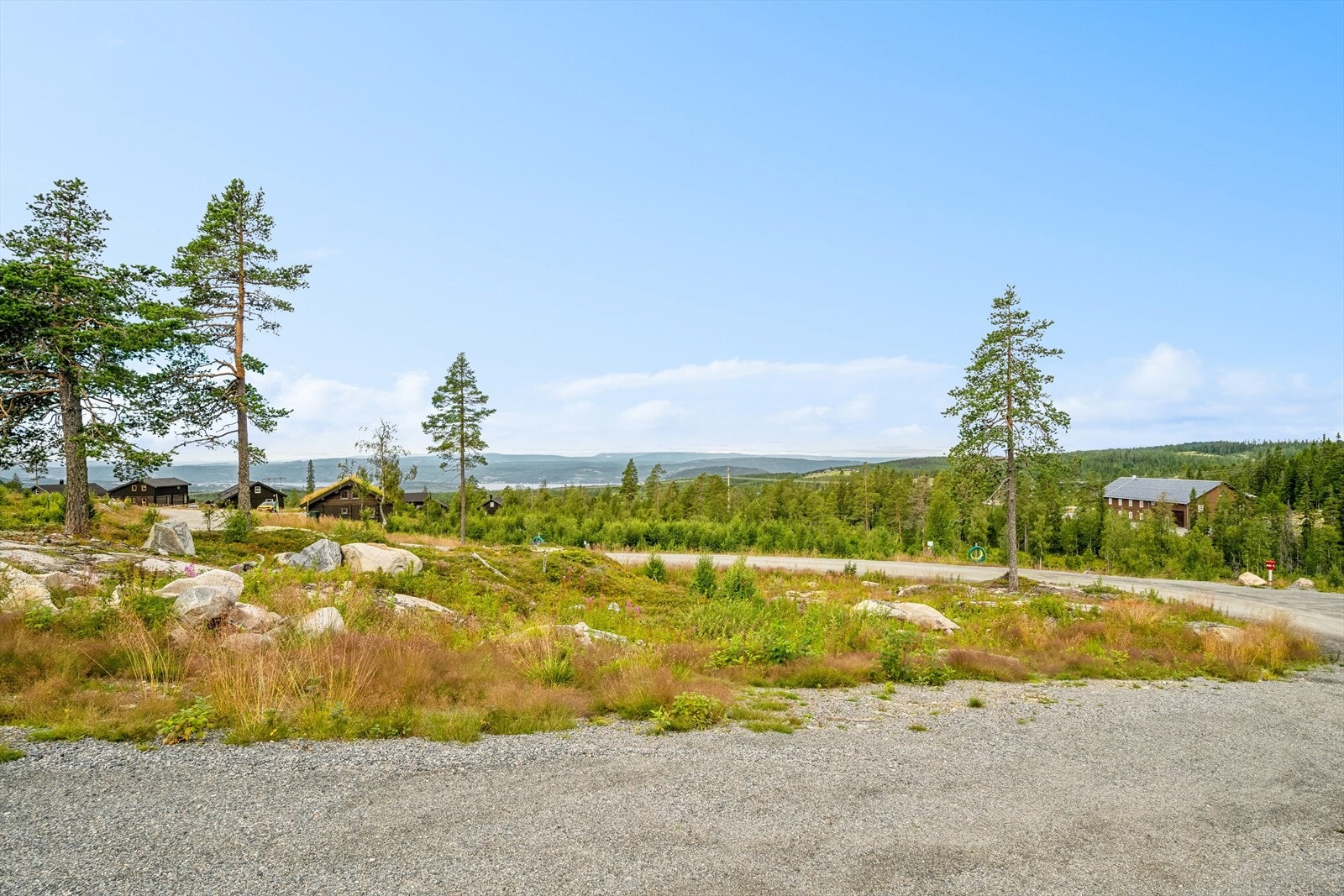 Bildet viser friarealet ved siden av tomten. Her får du ingen på høyre hånd! Galleribilde