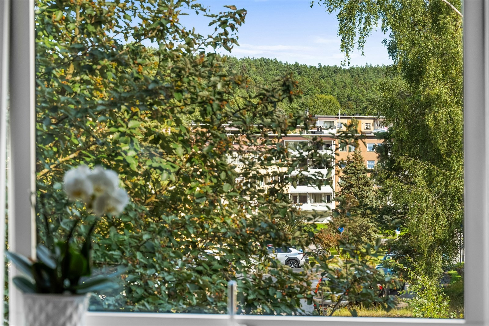 Utsyn mot vakre Østmarka. Galleribilde